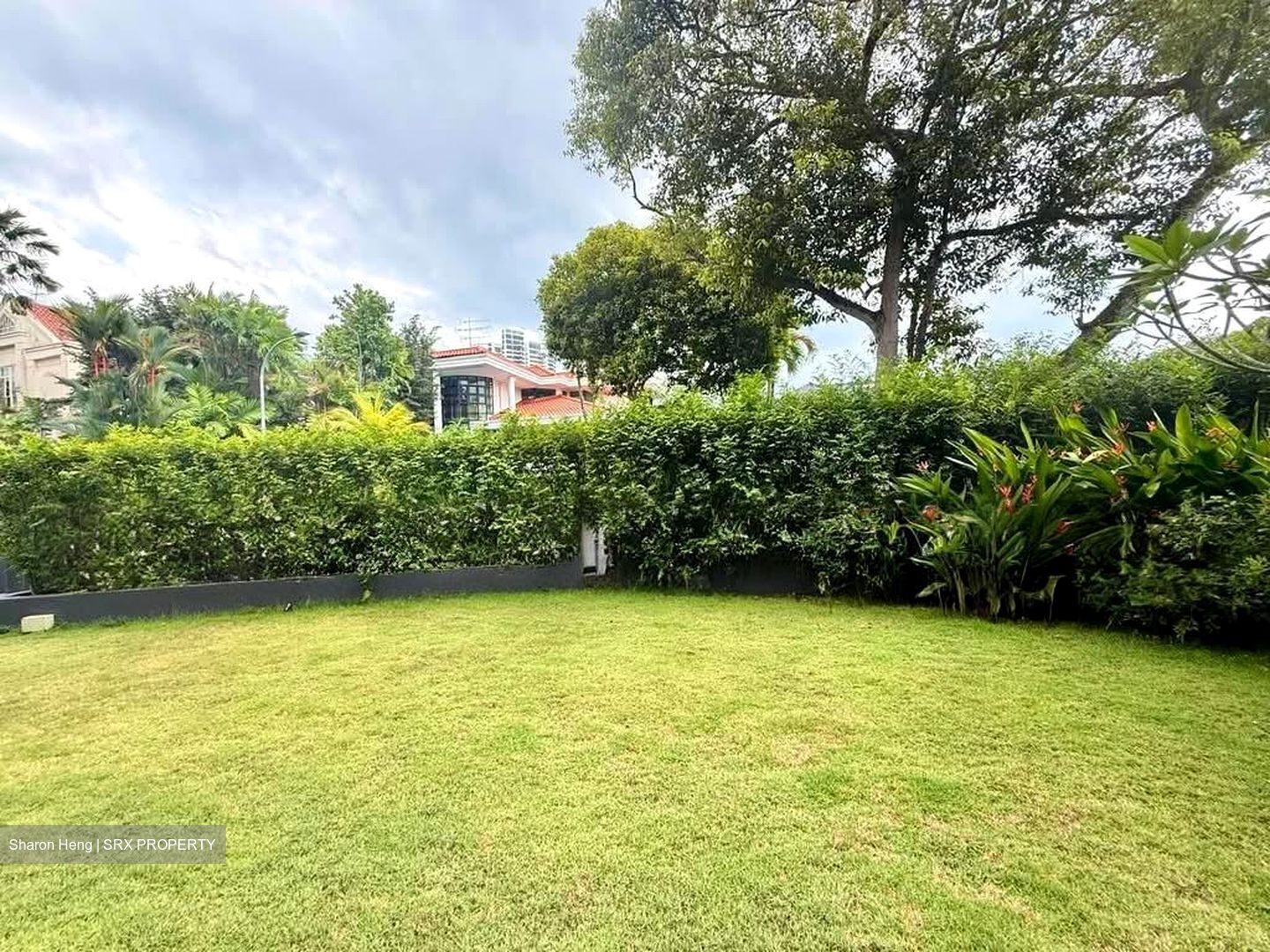 King's Road (D10), Detached #555585331